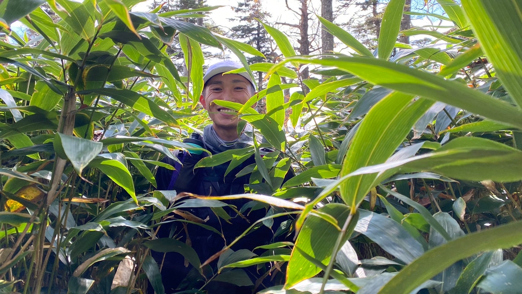 倉沢健太